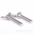 DIN316 SS304 SS316 Stainless Steel Wing Bolt